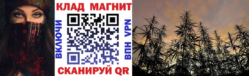 Где купить наркоту Кашира МАРИХУАНА  Альфа ПВП  МЕФ  МДМА  Кокаин 
