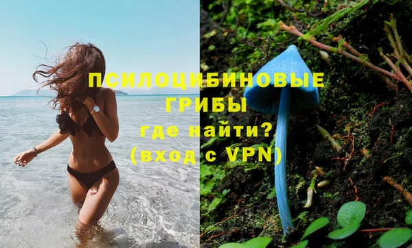 мяу мяу кристалл Надым