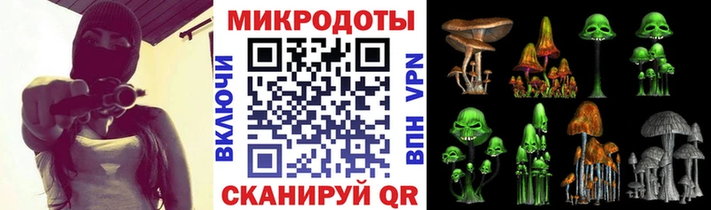Галлюциногенные грибы GOLDEN TEACHER как найти наркотики Кашира