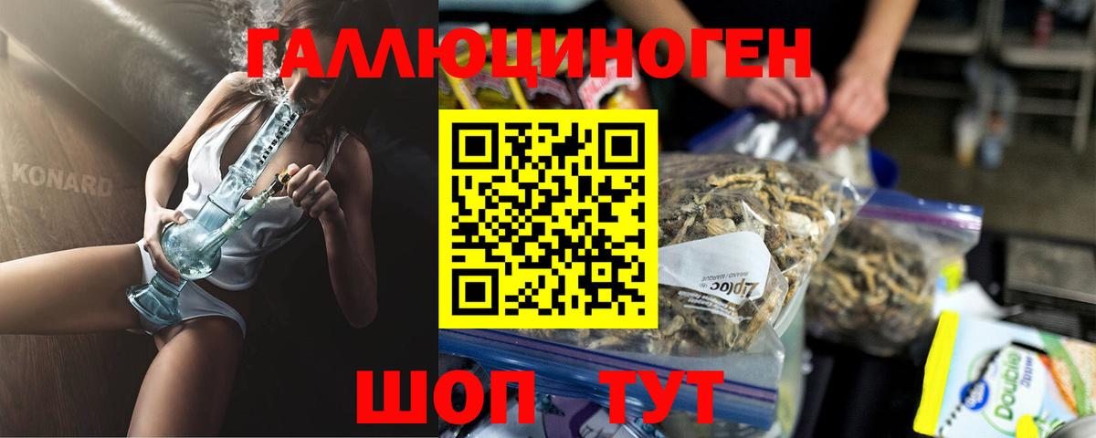 Псилоцибиновые грибы Psilocybe Кашира