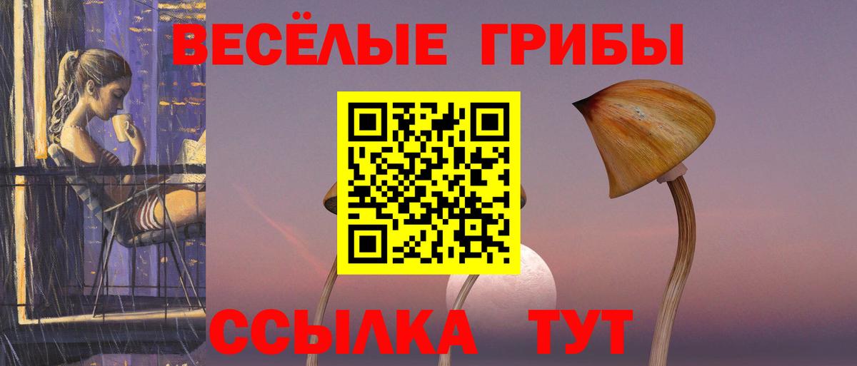 Галлюциногенные грибы Psilocybe  Кашира 