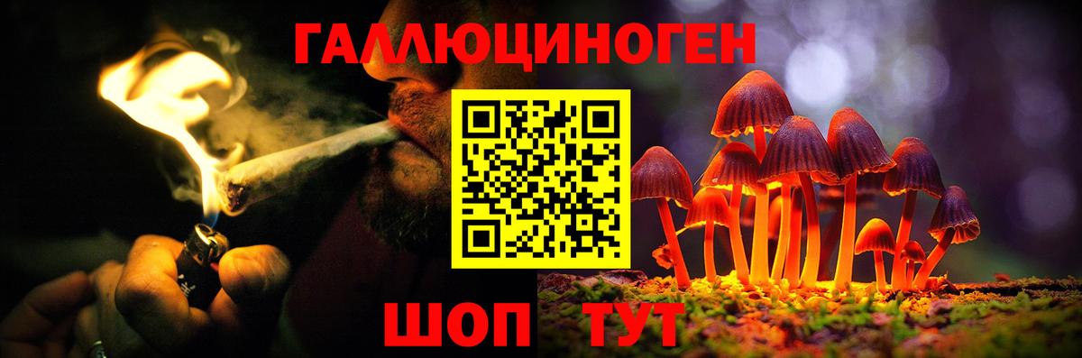Галлюциногенные грибы MAGIC MUSHROOMS Кашира